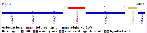 gene map