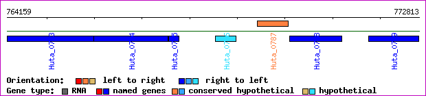 gene map