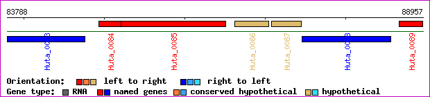 gene map