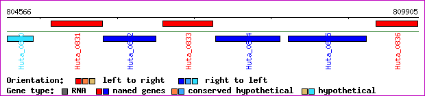 gene map