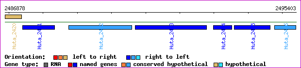 gene map