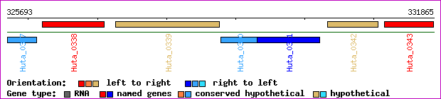 gene map