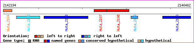 gene map