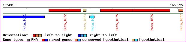 gene map