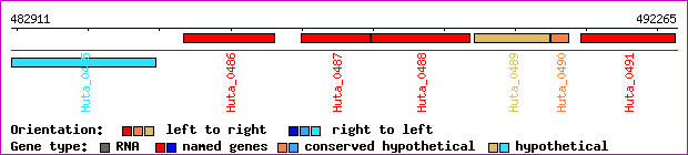 gene map