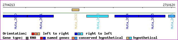 gene map