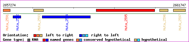 gene map
