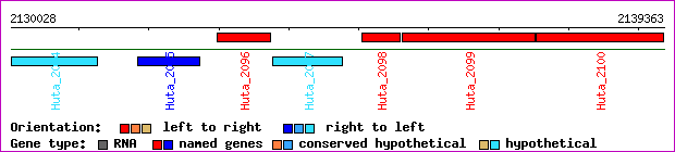 gene map