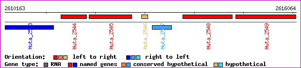 gene map