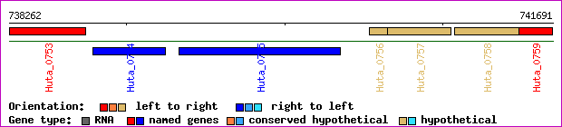 gene map