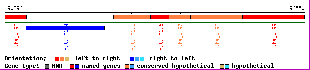 gene map