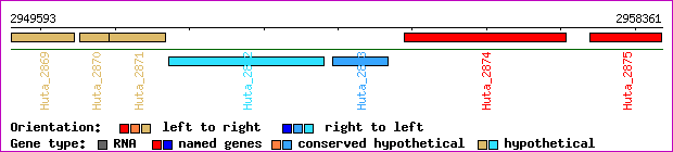 gene map