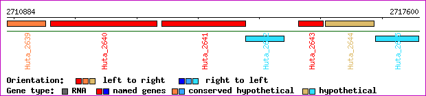 gene map