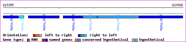 gene map