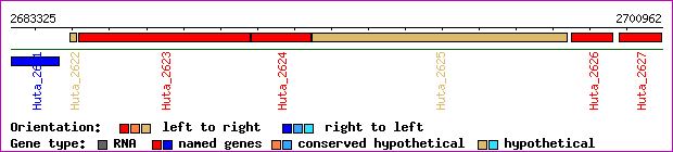 gene map