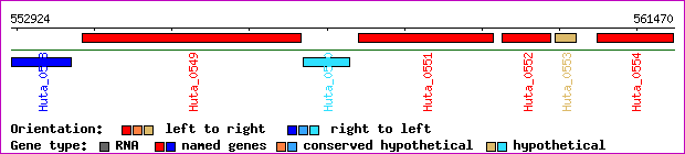 gene map