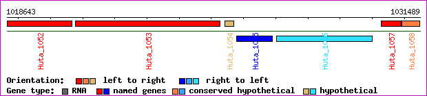 gene map