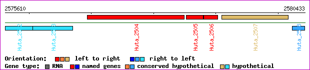 gene map