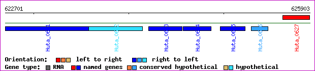 gene map