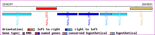 gene map