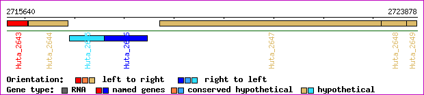 gene map