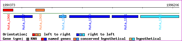 gene map