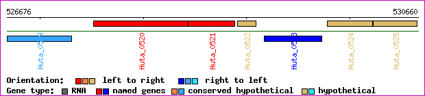 gene map