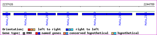 gene map
