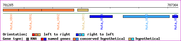 gene map