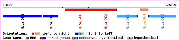 gene map