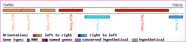 gene map