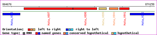 gene map