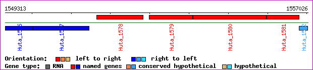 gene map
