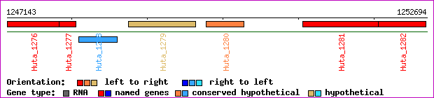 gene map