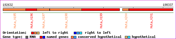 gene map