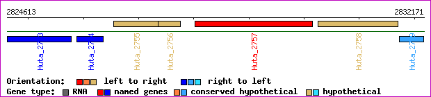 gene map