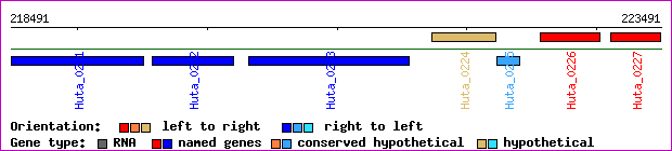 gene map