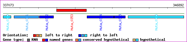 gene map