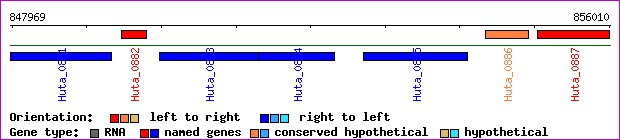 gene map