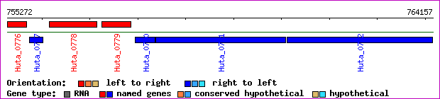 gene map
