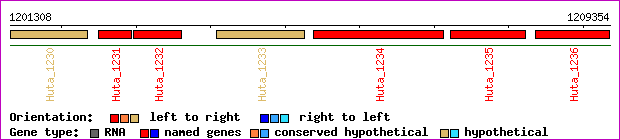 gene map