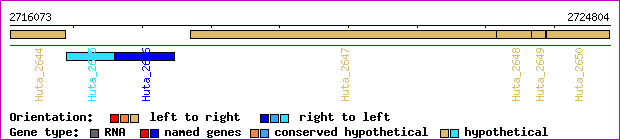 gene map