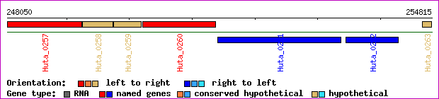 gene map