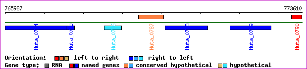 gene map