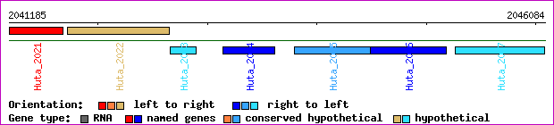 gene map