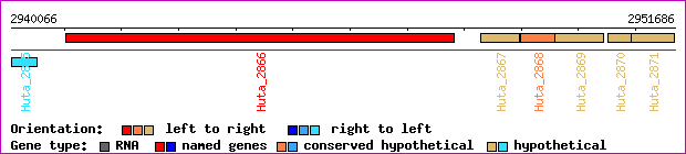gene map