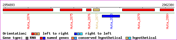 gene map
