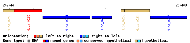 gene map