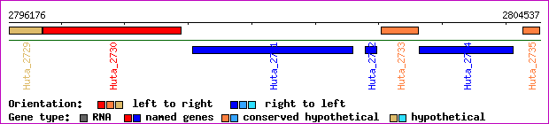 gene map