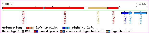 gene map